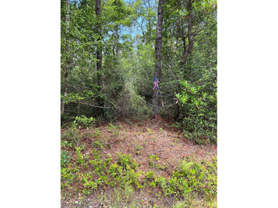 Boiling Spring Lake Lot For Sale in Southport North Carolina