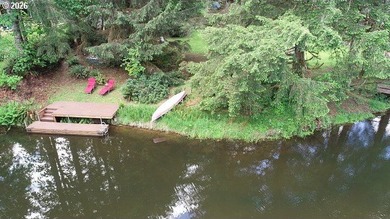 Waterfront Buildable Lot w/Improvements - photo 6
