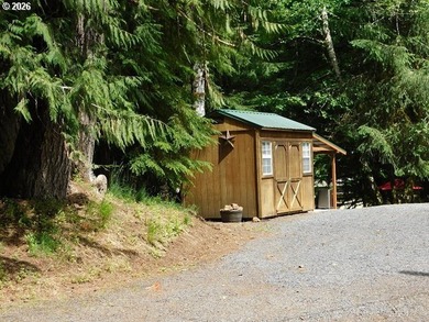 Waterfront Buildable Lot w/Improvements - photo 9