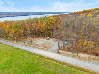 Seneca Lake Lot For Sale in Hector New York
