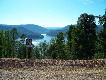 Lake Lot Off Market in New Tazewell, Tennessee