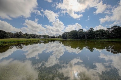 (private lake, pond, creek) Home For Sale in New Ulm Texas