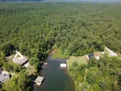 Lake Lot For Sale in Sparta, Georgia