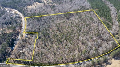 (private lake, pond, creek) Acreage For Sale in Warm Springs Georgia
