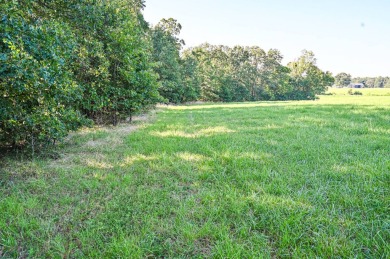 Lake Acreage For Sale in Niangua, Missouri