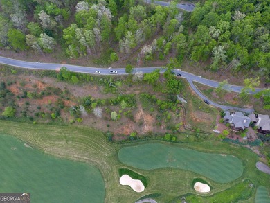 Nestled along the fairways of Waterfall at Lake Burton, this - photo 12