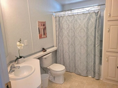 Forest Lake Estates is a 55+ age qualified active and vibrant - photo 15