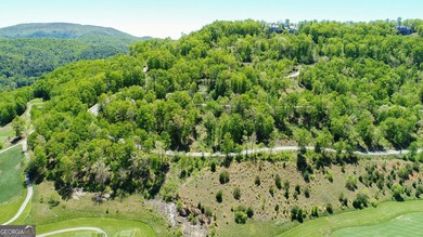 Nestled along the fairways of Waterfall at Lake Burton, this - photo 22