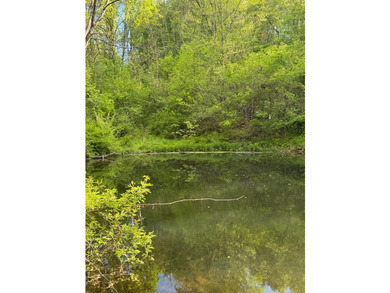 Discover the perfect blend of privacy, beauty, and opportunity - photo 25