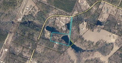 (private lake, pond, coastal) Acreage For Sale in Dearing Georgia