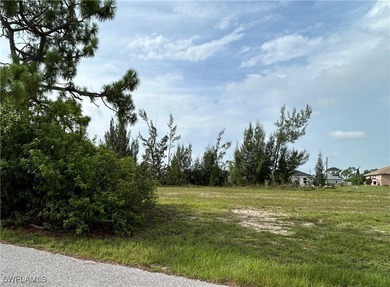 Navigable Freshwater Lot in NW Cape Coral - Access to Multiple - photo 5