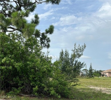 Navigable Freshwater Lot in NW Cape Coral - Access to Multiple - photo 6
