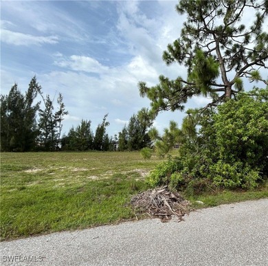 Navigable Freshwater Lot in NW Cape Coral - Access to Multiple - photo 7