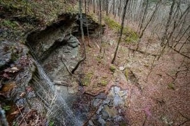 (private lake, pond, creek) Acreage For Sale in Clinton Arkansas