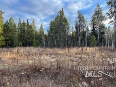 Lake Lot For Sale in Donnelly, Idaho