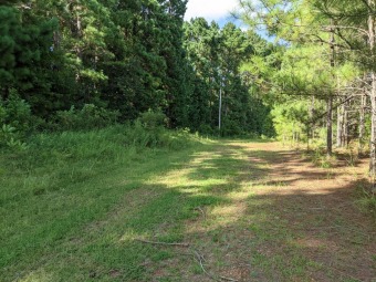 Wooded Lot on private road near Lake Marion.  Boat launch site - Lake Lot For Sale in Santee, South Carolina
