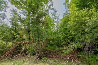Discover your ideal retreat on this picturesque 1.82-acre lot in - photo 3