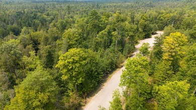 Discover your ideal retreat on this picturesque 1.82-acre lot in - photo 4