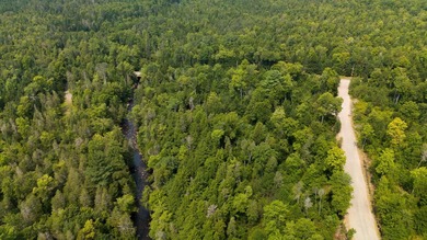 Discover your ideal retreat on this picturesque 1.82-acre lot in - photo 6