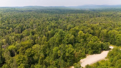 Discover your ideal retreat on this picturesque 1.82-acre lot in - photo 9