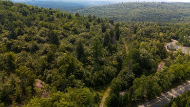 This 1.11-acre lot in the new Bear Brook Subdivision offers the - photo 6