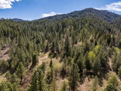 Lake Acreage For Sale in Placerville, Idaho