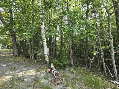This 1.12-acre lot in the new Bear Brook Subdivision offers the - photo 2