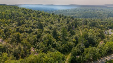 This 1.12-acre lot in the new Bear Brook Subdivision offers the - photo 3