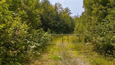 This 1.12-acre lot in the new Bear Brook Subdivision offers the - photo 4