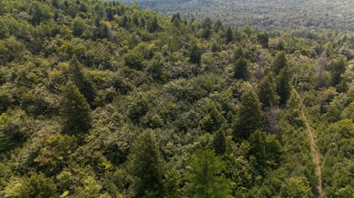 This 1.12-acre lot in the new Bear Brook Subdivision offers the - photo 6