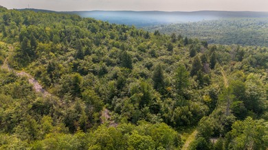 This 1.12-acre lot in the new Bear Brook Subdivision offers the - photo 8