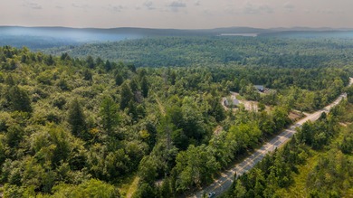 This 1.12-acre lot in the new Bear Brook Subdivision offers the - photo 9