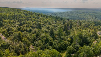 This 1.12-acre lot in the new Bear Brook Subdivision offers the - photo 10