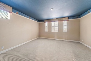 3168 Roma Ct - photo 47