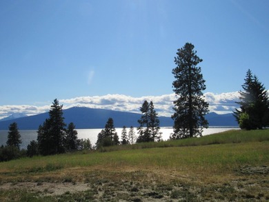 VIEWS, VIEWS, VIEWS!!! If you are looking for a fantastic home - photo 17