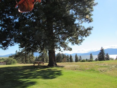 VIEWS, VIEWS, VIEWS!!! If you are looking for a fantastic home - photo 19