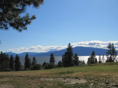 VIEWS, VIEWS, VIEWS!!! If you are looking for a fantastic home - photo 21