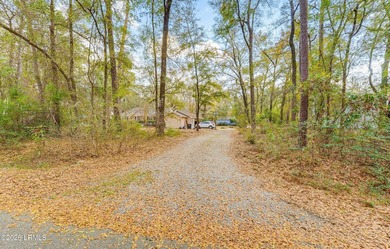 One story living on Ladys Island with 2,712 sq ft on a quiet - photo 40