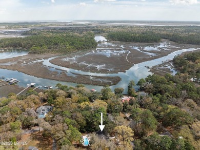One story living on Ladys Island with 2,712 sq ft on a quiet - photo 42