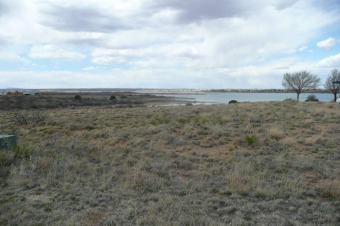 Lake Acreage For Sale in Logan, New Mexico