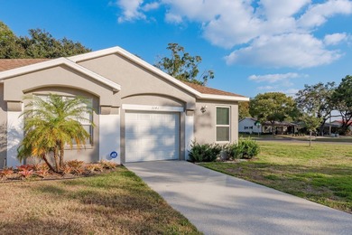 Lake Tarpon Home For Sale in Palm Harbor Florida