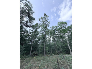 Big Star Lake Lot For Sale in Baldwin Michigan