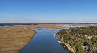 (private lake, pond, coastal) Home For Sale in Townsend Georgia