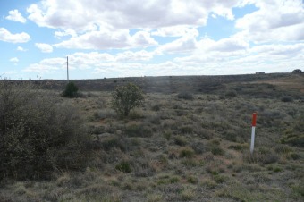 Lake Lot For Sale in Logan, New Mexico