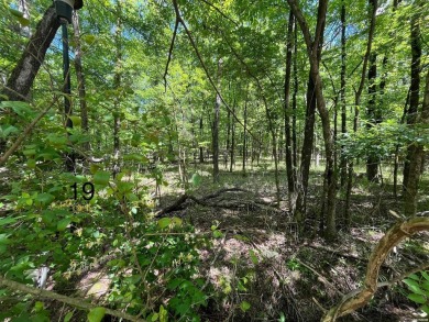 Lake Lot For Sale in Hot Springs, Arkansas