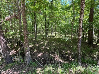 Lake Lot For Sale in Hot Springs, Arkansas