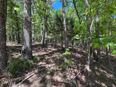 Lake Lot For Sale in Hot Springs, Arkansas