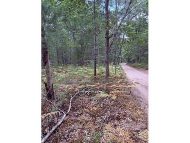 Big Star Lake Lot For Sale in Baldwin Michigan