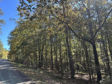 Beautiful sloping residential lot in the Southwind section of