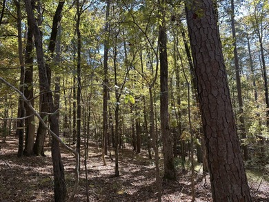 Beautiful sloping residential lot in the Southwind section of